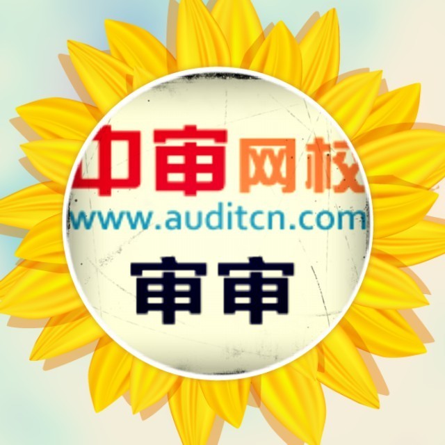 2322688 中审网校:审审