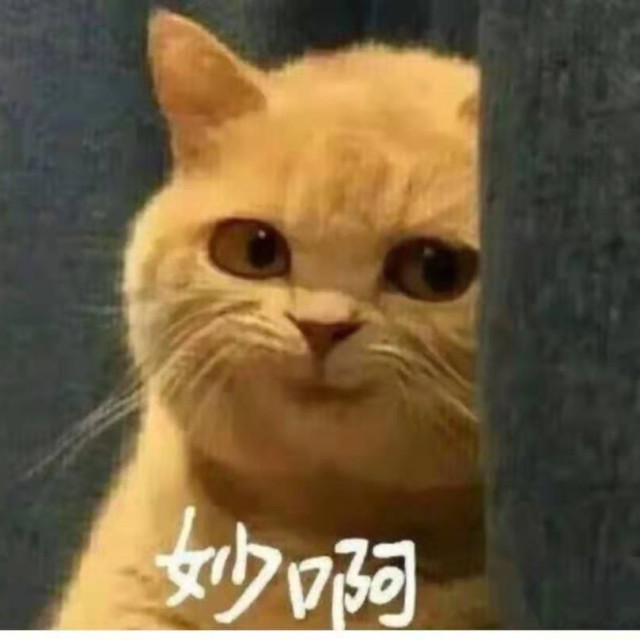 2323788 小白龙