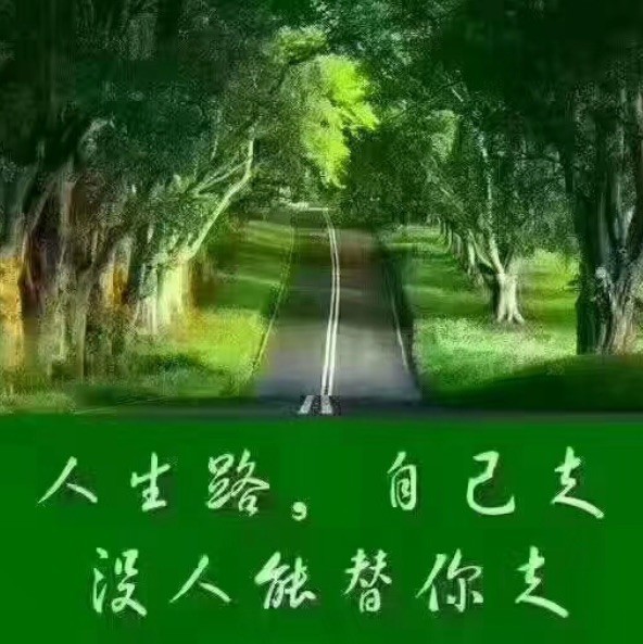 2323827 凯旋
