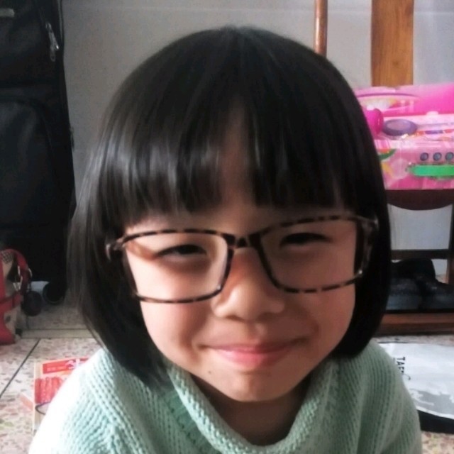 2325567 辟尘