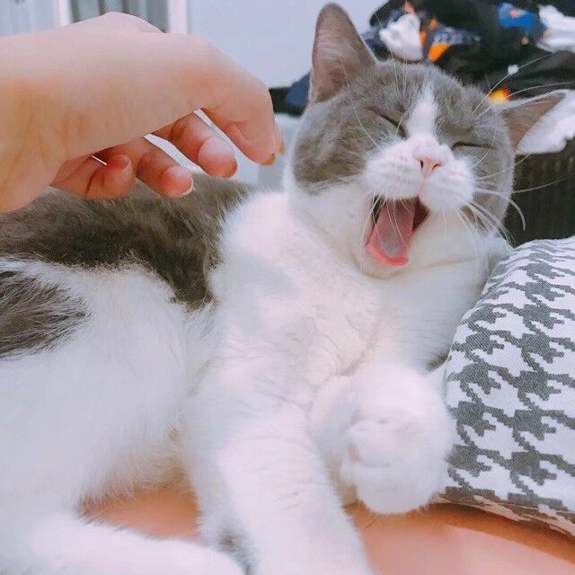 2325809 舒心