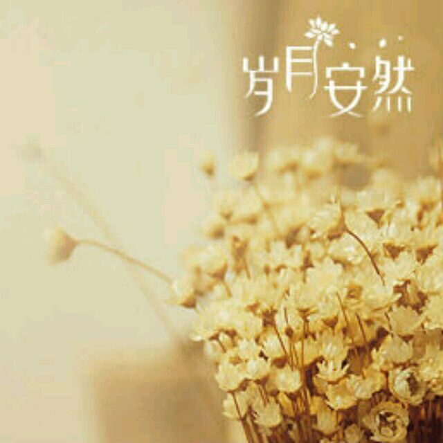 2325843 昨天