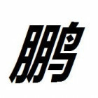 2326227 月月鸟