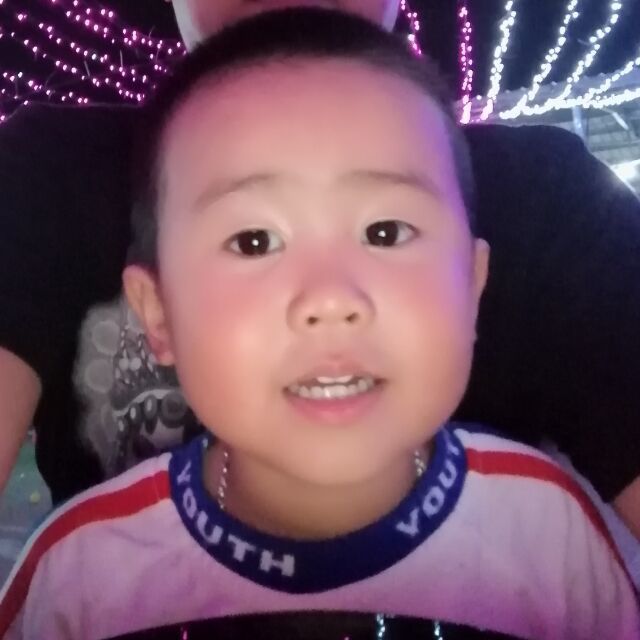 2326639 ヂ狼兰蓝ζ