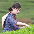2327437 艺仁茶艺