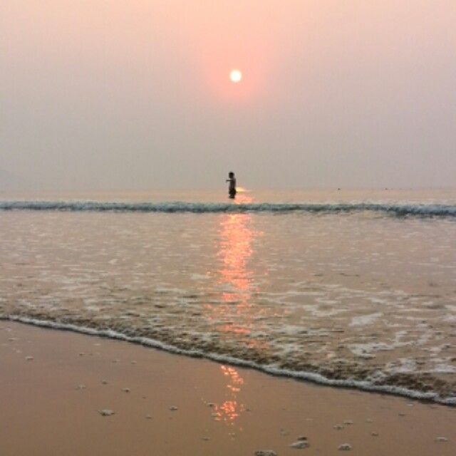 2334073 海笑