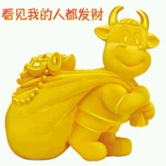 2336081 文龙将军
