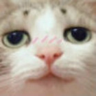 2336940 ﹎天涯の邊緣