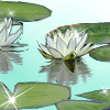 2337772 運籌幃幄