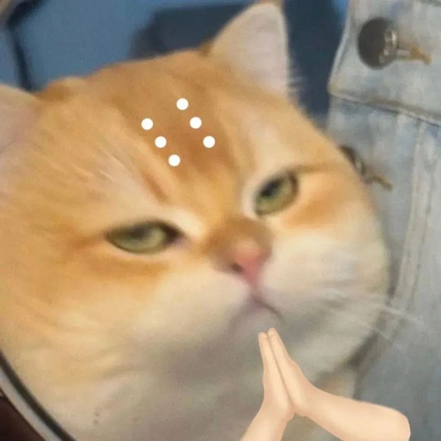 2338277 阿丁很努力
