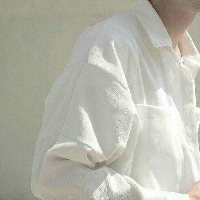 2338556 沪.