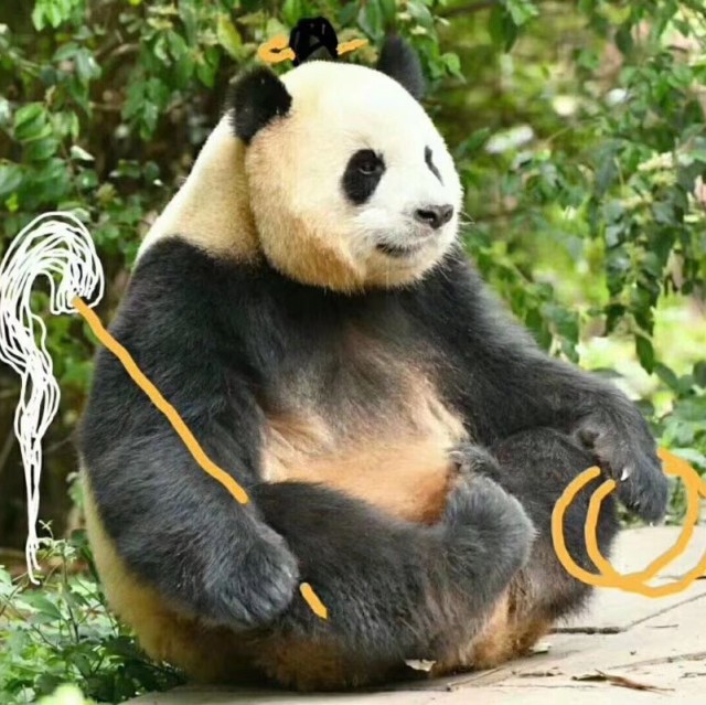 2339155 青天