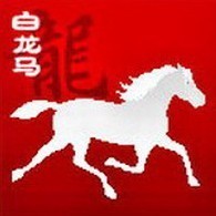 2339651 白龙马
