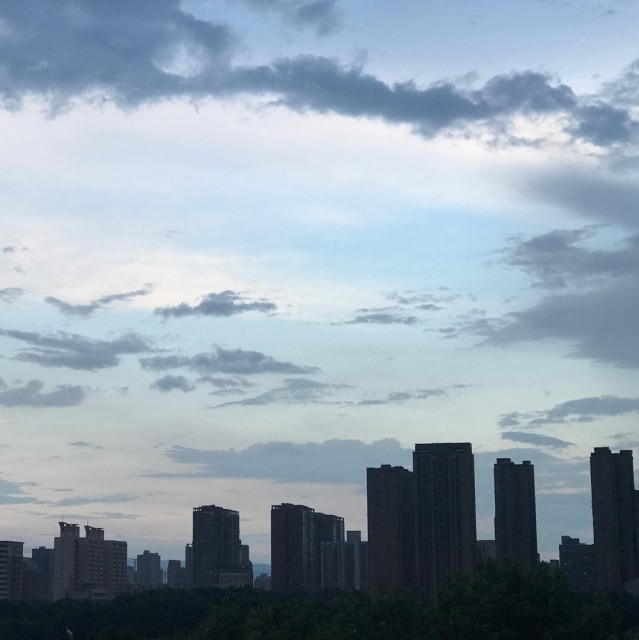 2339666 阿若比安牛