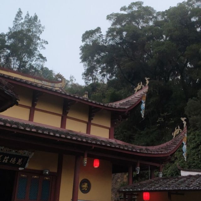 2339753 橙子