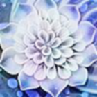 2340044 寄生蜂
