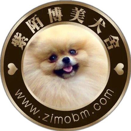 2340055 紫陌博美犬舍（微信联系）