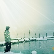 2340739 被淹死的鱼
