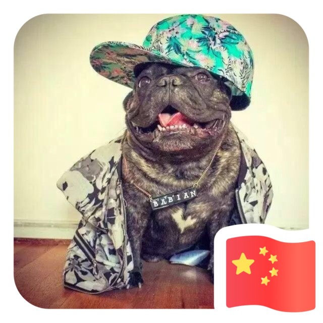2343920 兔灰灰