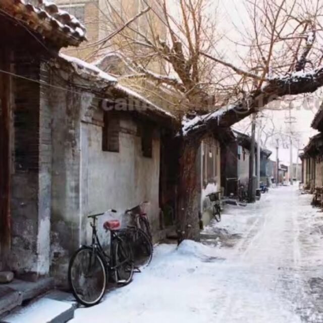 2355198 部分土豆进城