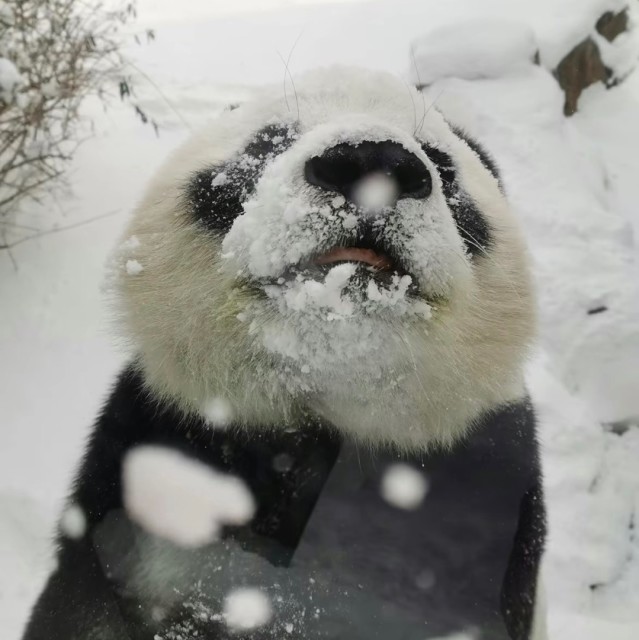 23565 ˇ珊ě﹖