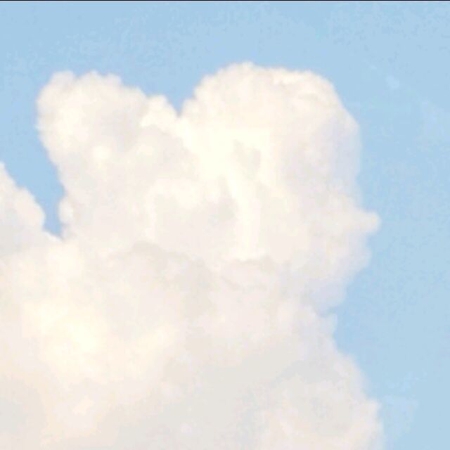 2362366 寧靜致遠