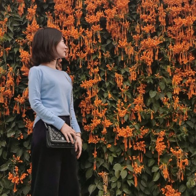 2362714 小不点