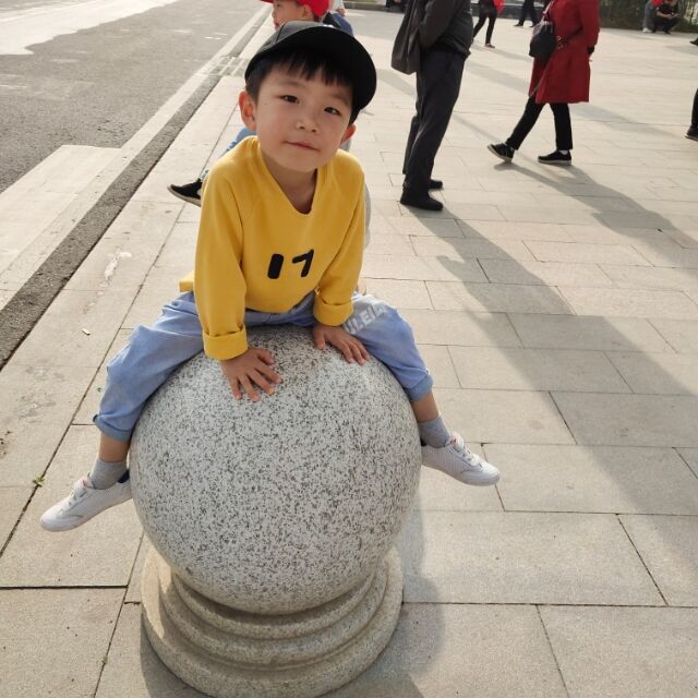 2363829 ↘︶￣賊