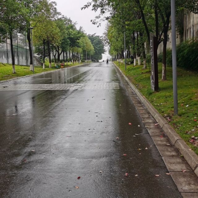 23649 哎呀