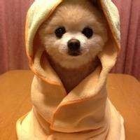 2365166 训练中的英雄