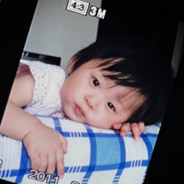 2366155 杨帆