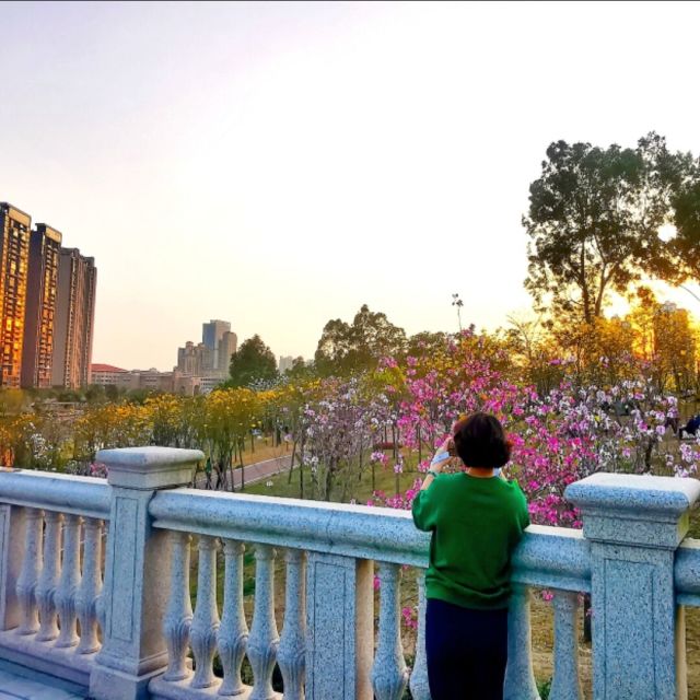 2368761 丸子