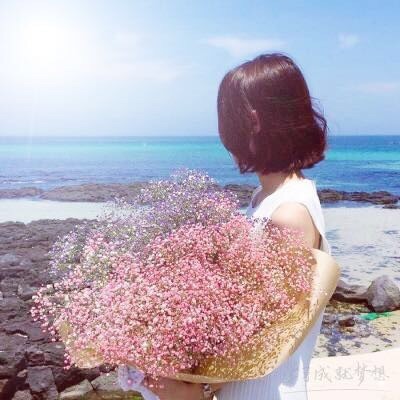 2369319 ˇxixiっ