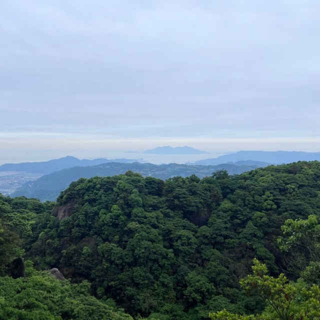 2370442 云不扬