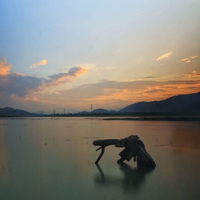 2372975 海