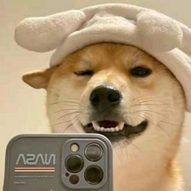 2374282 草履虫