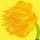2375078 badrose