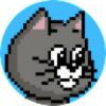 2375543 猫咪