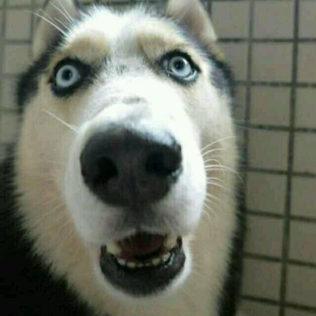 2376643 浮华的背后。