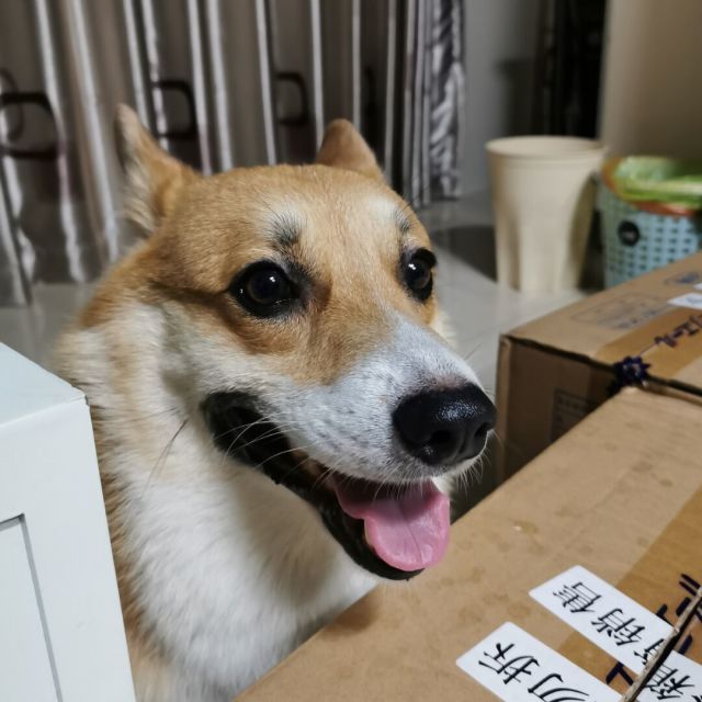 2377172 陆华明