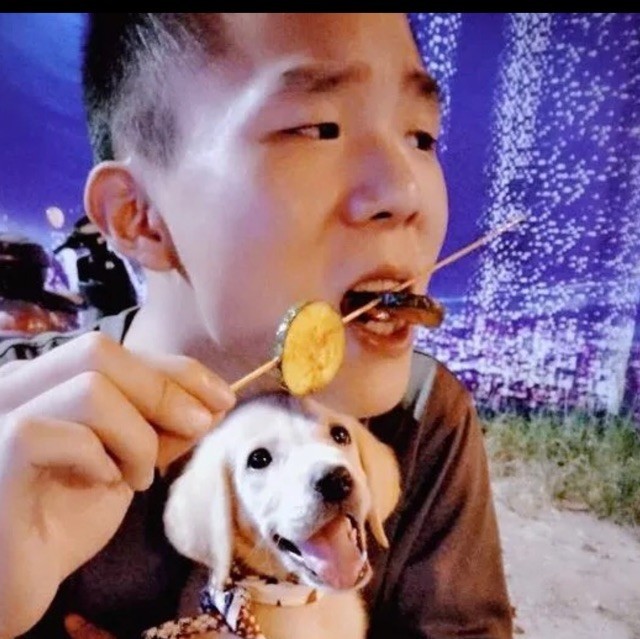2379973 劳资素六六