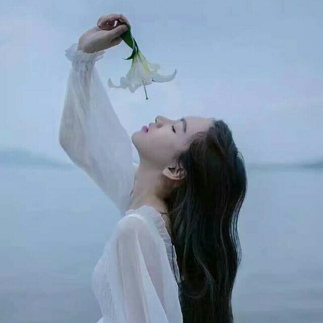 2380024 天下无双