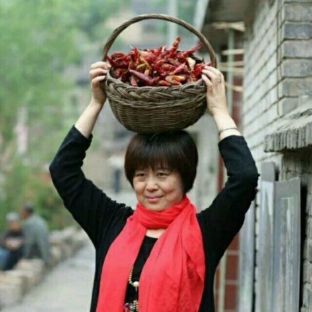 2380874 幸运草
