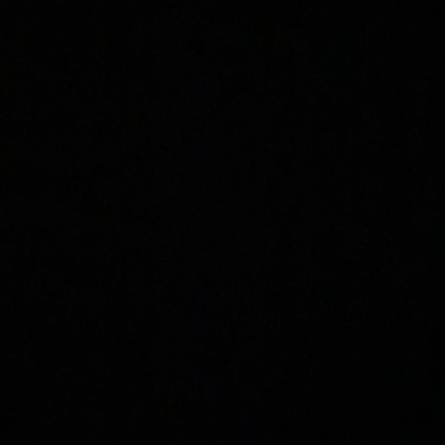 2386408 可惜我是双子座