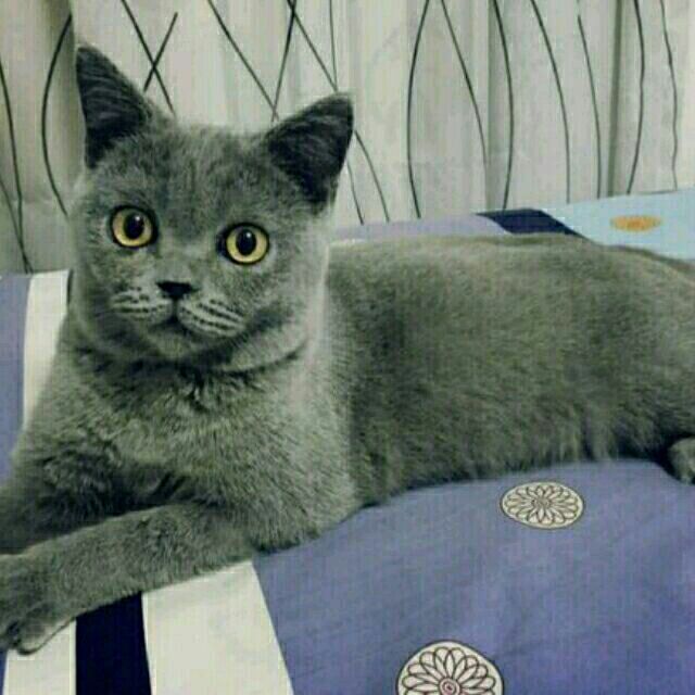 2403401077 @哈哈哈