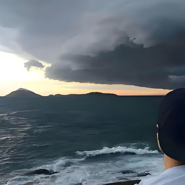 2444495 [偉成]