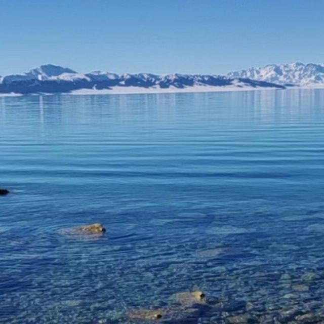 2444585 德昌物流