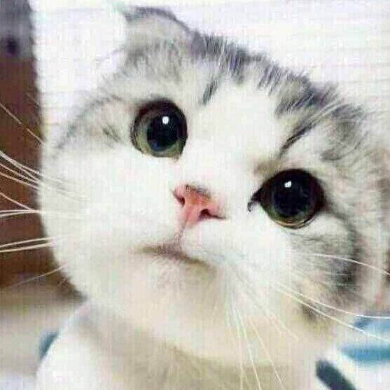 2445008 轻狂书生