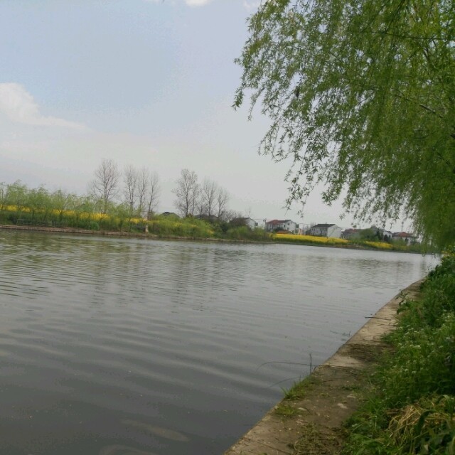2445272 等待