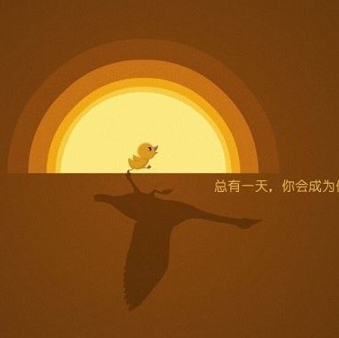2445660 风再起时